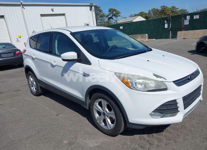 2015 Ford Escape SE (VIN 1FMCU0GX1FUB96936) main photo