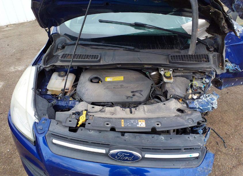 Photo 10 of 2015 Ford Escape SE (VIN 1FMCU0GX1FUC59307)