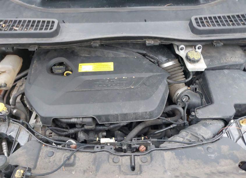 Photo 10 of 2015 Ford Escape SE (VIN 1FMCU0GX1FUC87740)