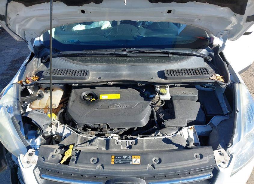 Photo 10 of 2016 Ford Escape SE (VIN 1FMCU0GX1GUA20101)