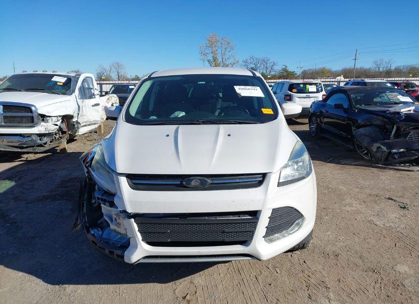 Photo 12 of 2016 Ford Escape SE (VIN 1FMCU0GX1GUA20101)