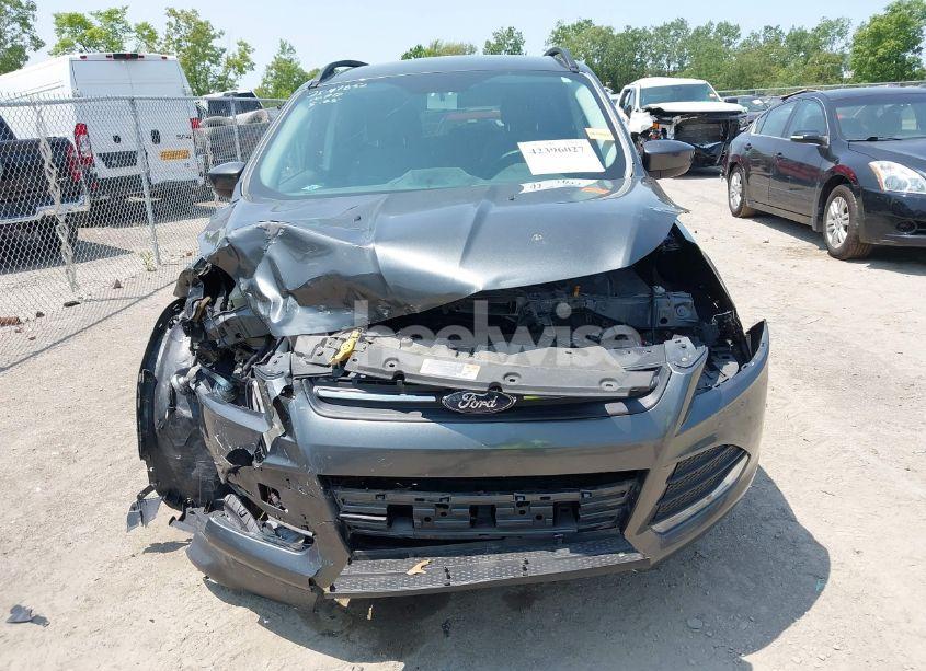 Photo 12 of 2016 Ford Escape SE (VIN 1FMCU0GX1GUB92838)