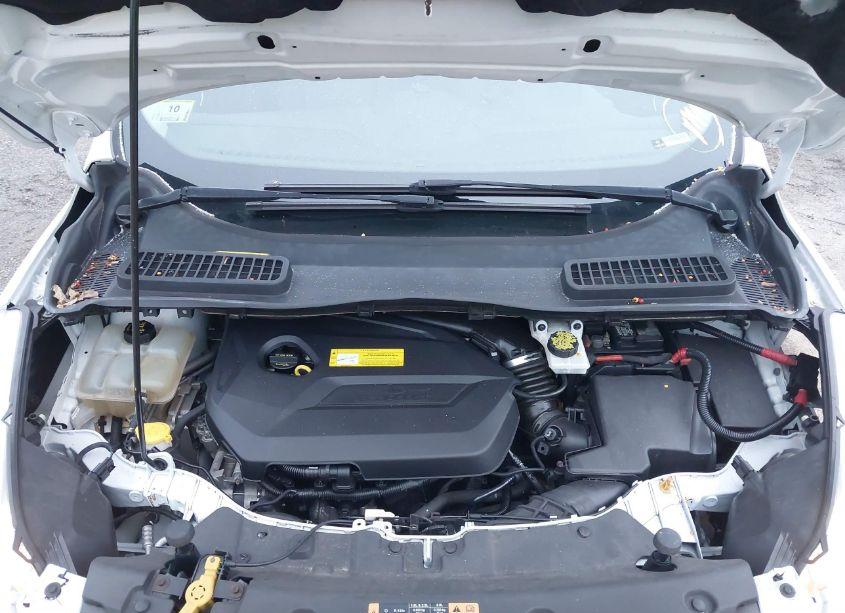 Photo 10 of 2016 Ford Escape SE (VIN 1FMCU0GX1GUC30357)