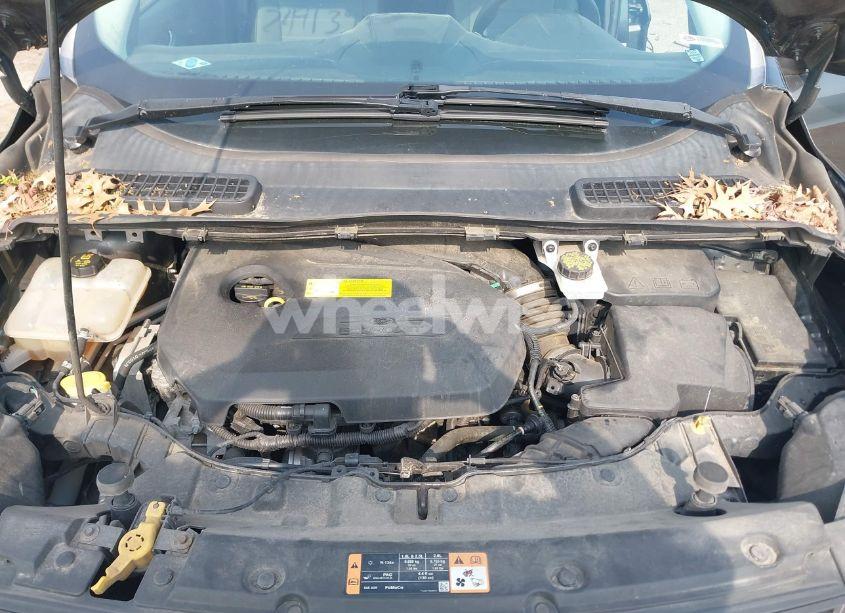 Photo 10 of 2016 Ford Escape SE (VIN 1FMCU0GX1GUC56439)