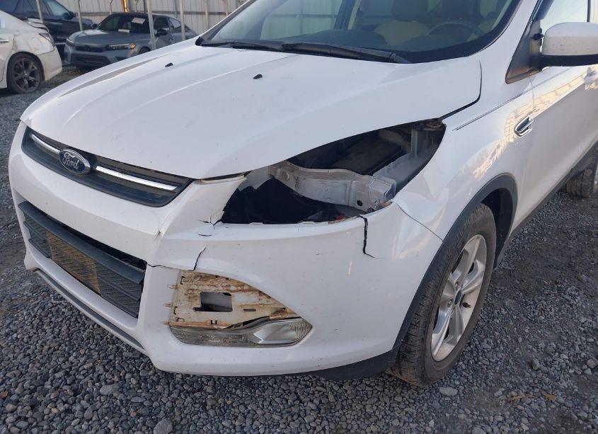 Photo 6 of 2016 Ford Escape SE (VIN 1FMCU0GX1GUC73192)