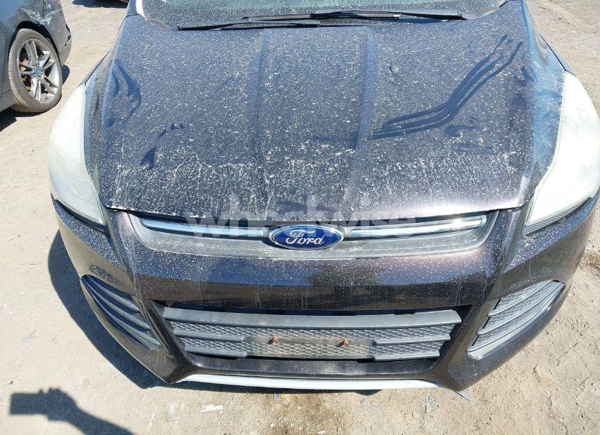 Photo 6 of 2013 Ford Escape SE (VIN 1FMCU0GX2DUB51405)