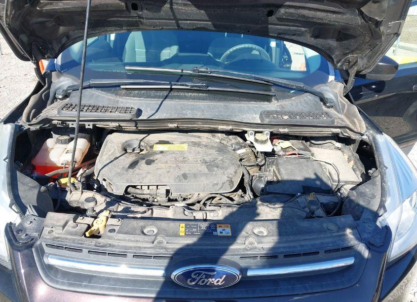 Photo 10 of 2013 Ford Escape SE (VIN 1FMCU0GX2DUB84162)