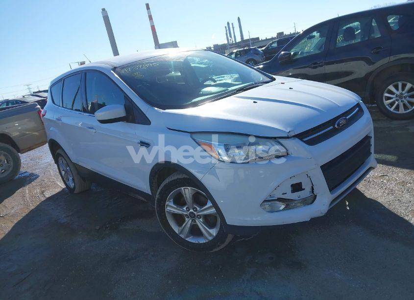 2013 Ford Escape SE (VIN 1FMCU0GX2DUC53304) main photo