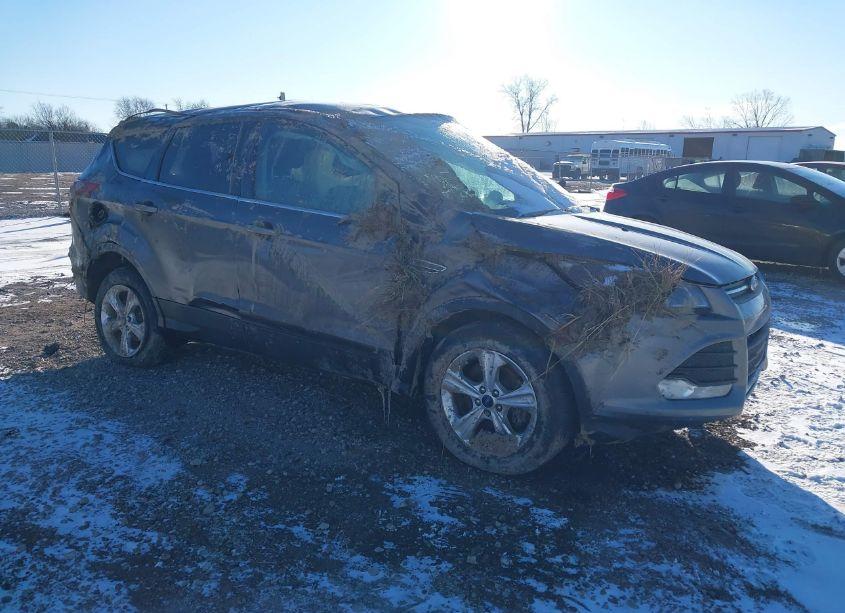 2013 Ford Escape SE (VIN 1FMCU0GX2DUD52009) main photo