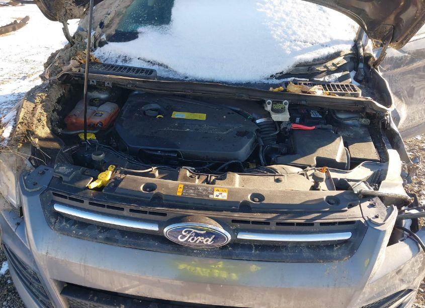 Photo 10 of 2013 Ford Escape SE (VIN 1FMCU0GX2DUD52009)