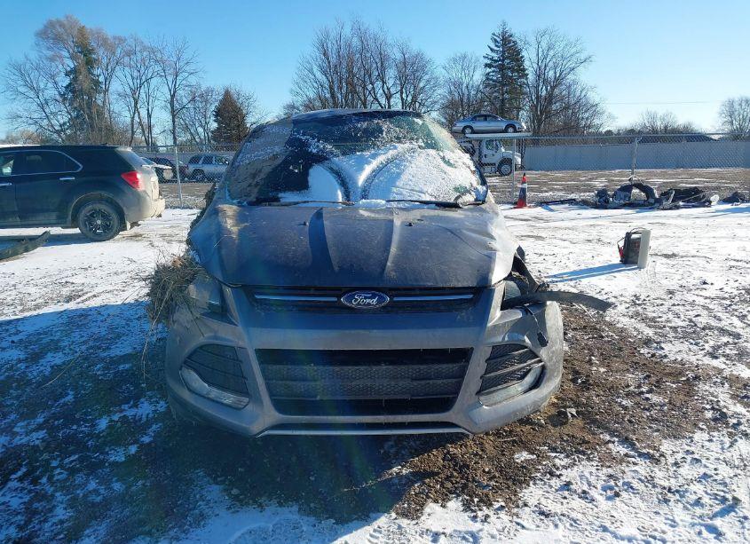 Photo 12 of 2013 Ford Escape SE (VIN 1FMCU0GX2DUD52009)