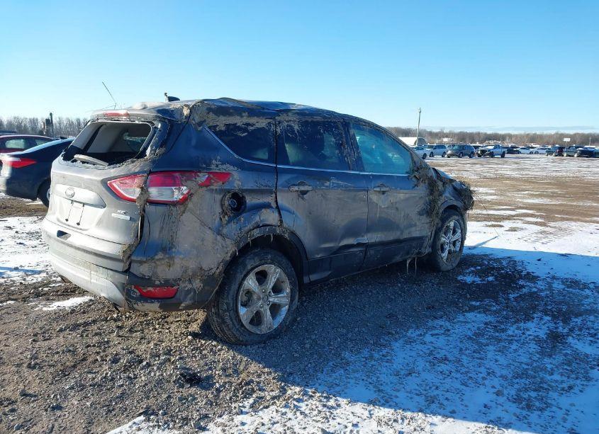 Photo 4 of 2013 Ford Escape SE (VIN 1FMCU0GX2DUD52009)