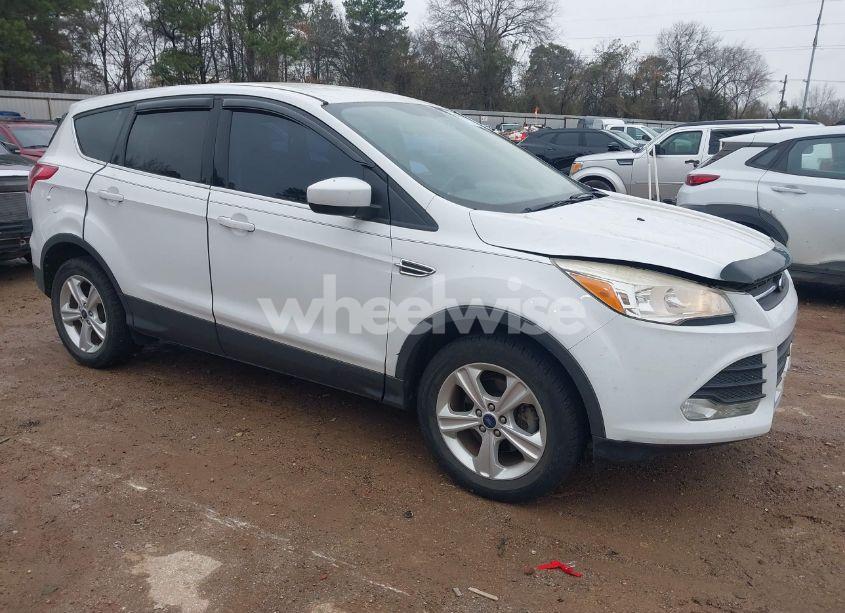 2013 Ford Escape SE (VIN 1FMCU0GX2DUD72678) main photo