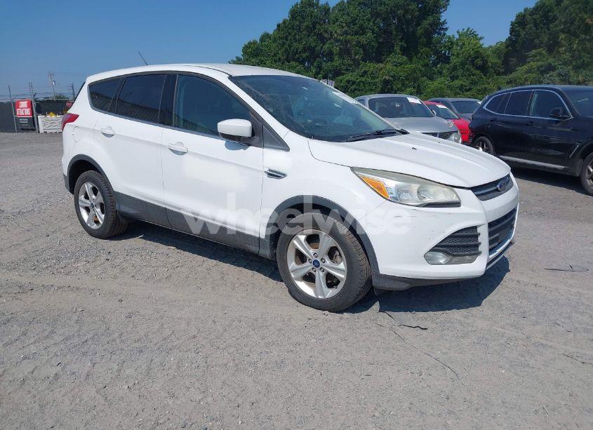 2014 Ford Escape SE (VIN 1FMCU0GX2EUA66193) main photo