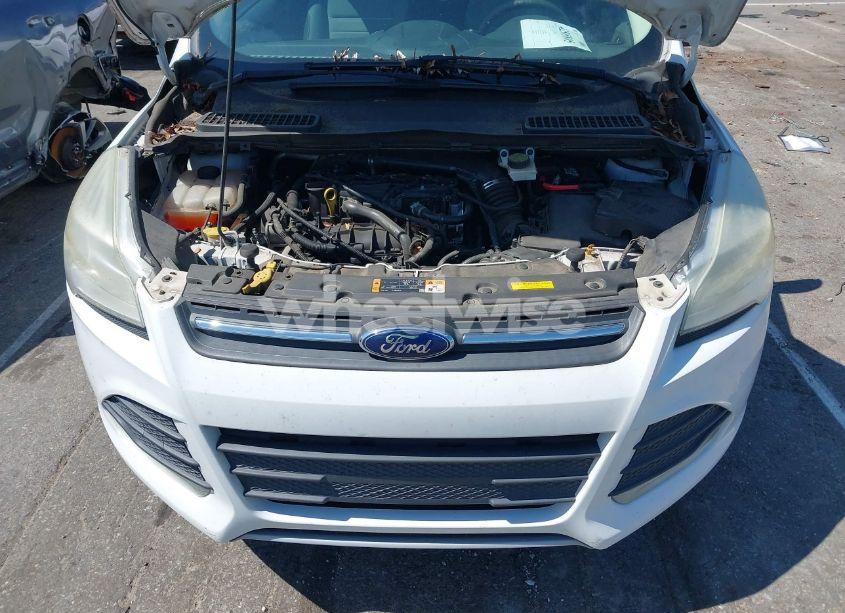 Photo 10 of 2014 Ford Escape SE (VIN 1FMCU0GX2EUA66193)