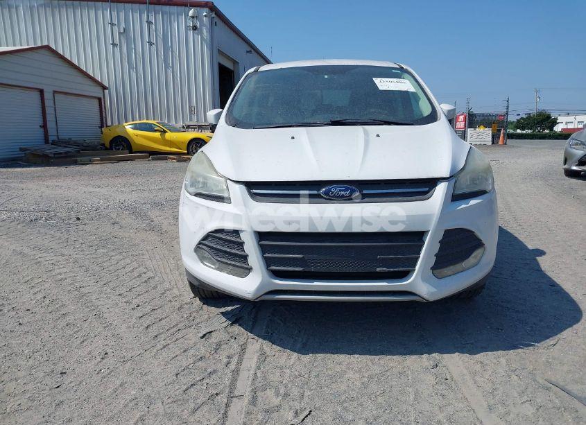 Photo 6 of 2014 Ford Escape SE (VIN 1FMCU0GX2EUA66193)