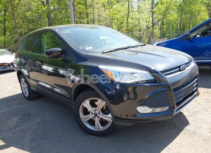 2014 Ford Escape SE (VIN 1FMCU0GX2EUB40356) main photo