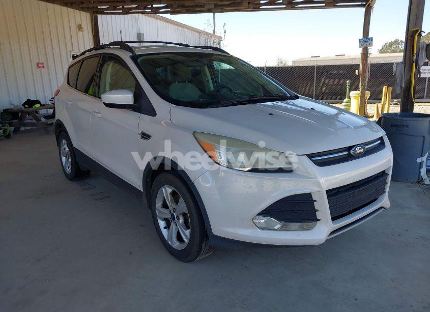 2014 Ford Escape SE (VIN 1FMCU0GX2EUB54998) main photo