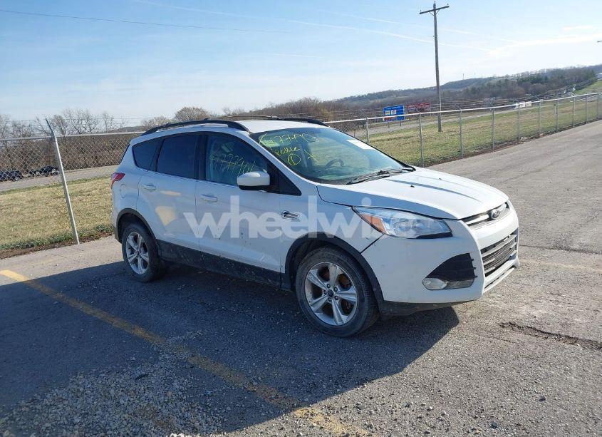 2014 Ford Escape SE (VIN 1FMCU0GX2EUB70134) main photo