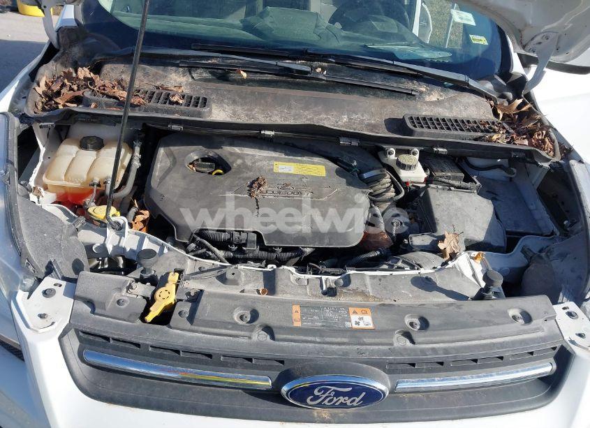 Photo 10 of 2014 Ford Escape SE (VIN 1FMCU0GX2EUB70134)