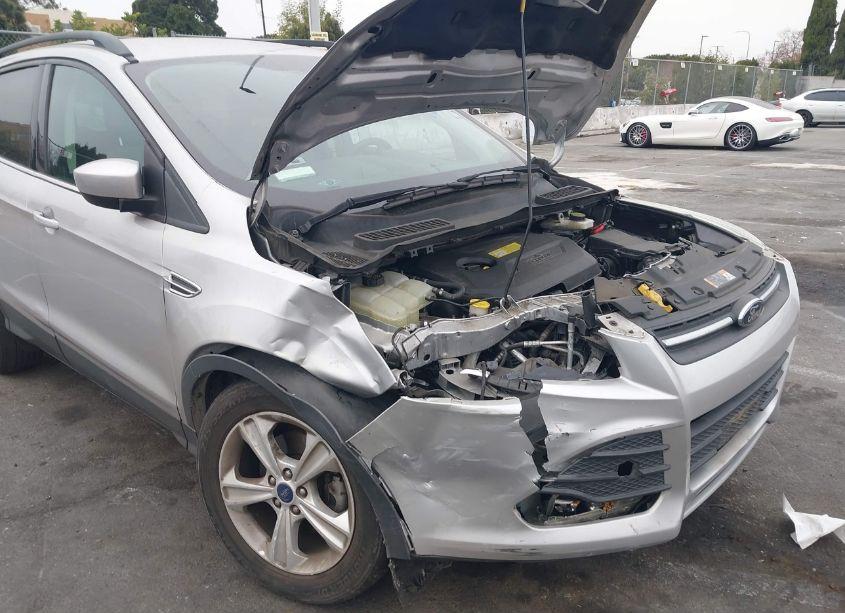 Photo 6 of 2014 Ford Escape SE (VIN 1FMCU0GX2EUB80534)