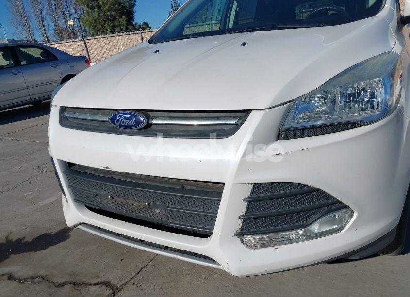 Photo 6 of 2014 Ford Escape SE (VIN 1FMCU0GX2EUB99648)