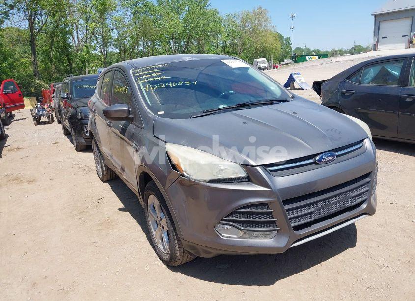 2014 Ford Escape SE (VIN 1FMCU0GX2EUC09949) main photo
