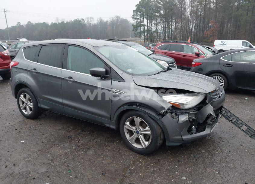 2014 Ford Escape SE (VIN 1FMCU0GX2EUC36116) main photo