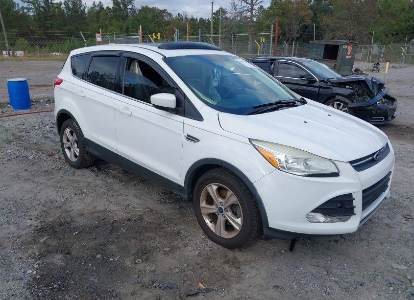2014 Ford Escape SE (VIN 1FMCU0GX2EUD49273) main photo