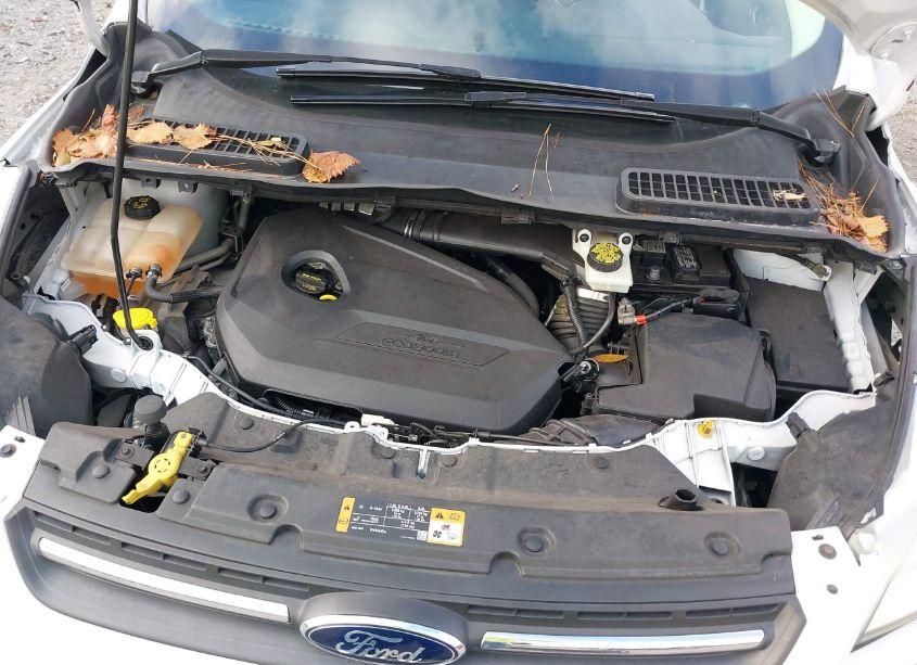 Photo 10 of 2014 Ford Escape SE (VIN 1FMCU0GX2EUD49273)