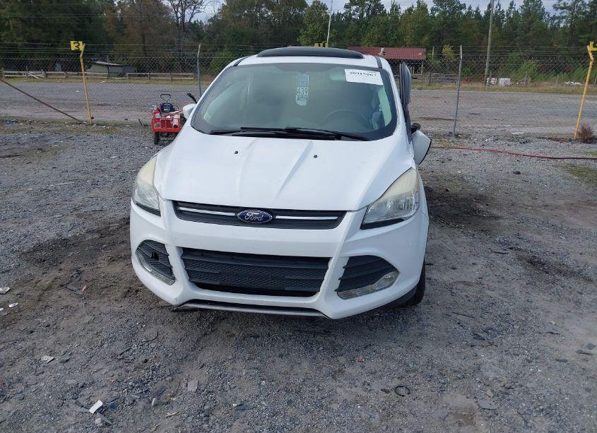 Photo 12 of 2014 Ford Escape SE (VIN 1FMCU0GX2EUD49273)