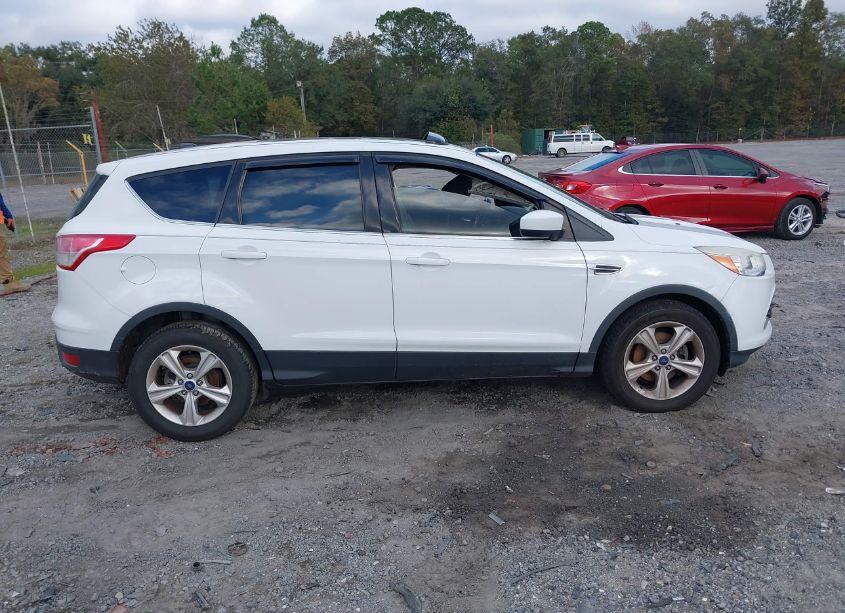 Photo 13 of 2014 Ford Escape SE (VIN 1FMCU0GX2EUD49273)