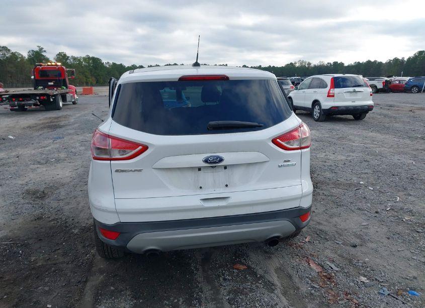 Photo 16 of 2014 Ford Escape SE (VIN 1FMCU0GX2EUD49273)