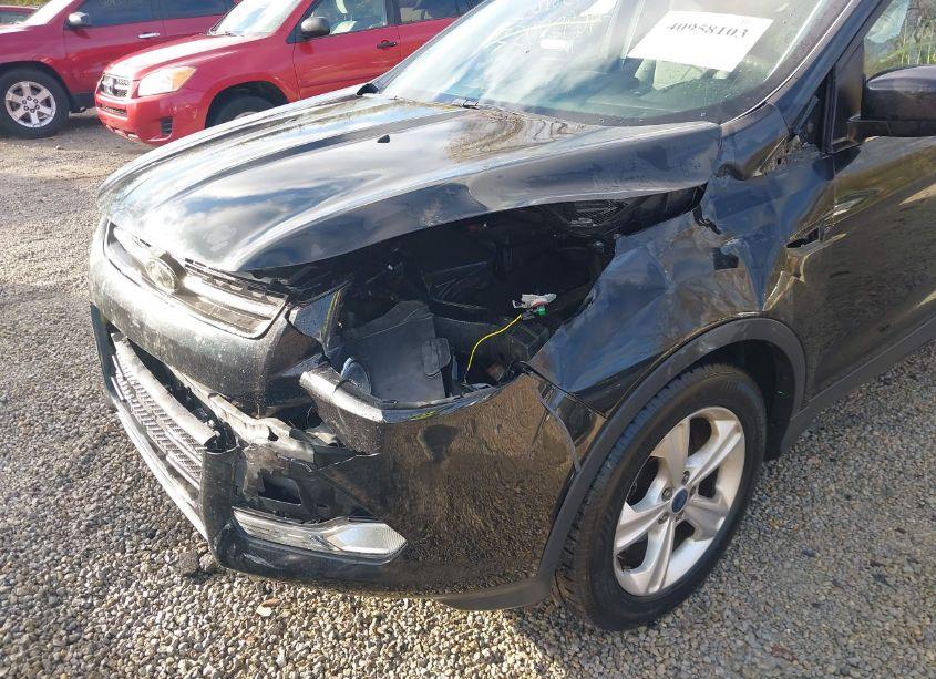 Photo 17 of 2014 Ford Escape SE (VIN 1FMCU0GX2EUD83231)