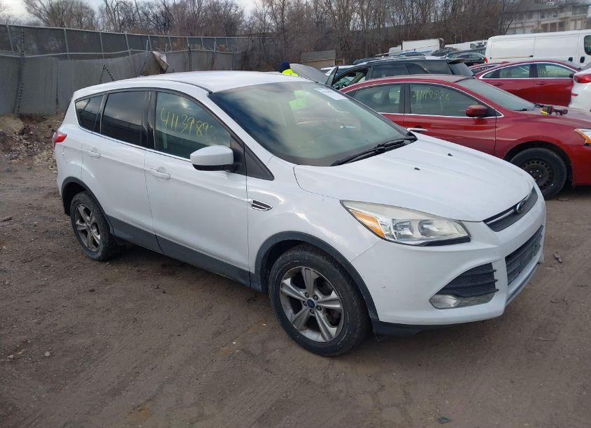 2014 Ford Escape SE (VIN 1FMCU0GX2EUD85898) main photo