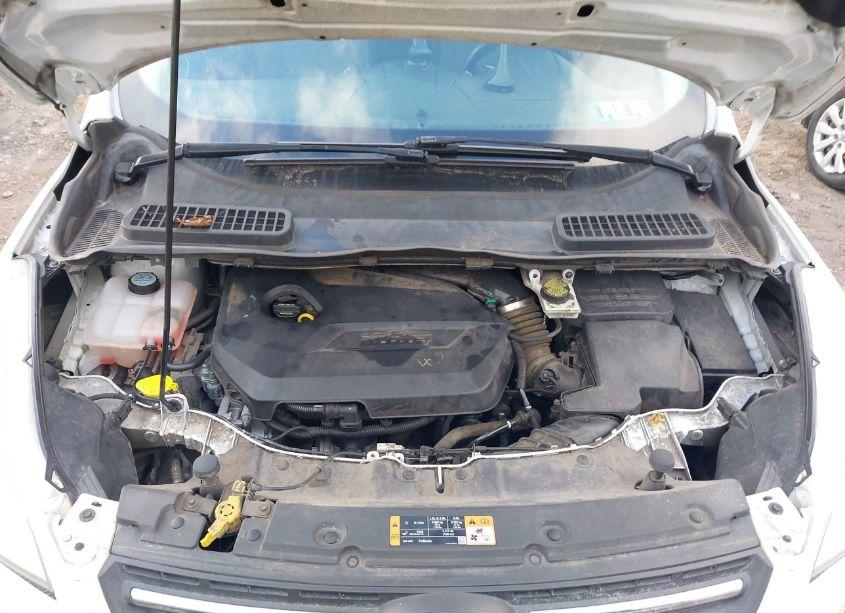 Photo 10 of 2014 Ford Escape SE (VIN 1FMCU0GX2EUD85898)