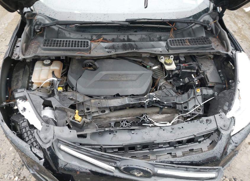 Photo 10 of 2014 Ford Escape SE (VIN 1FMCU0GX2EUD91927)