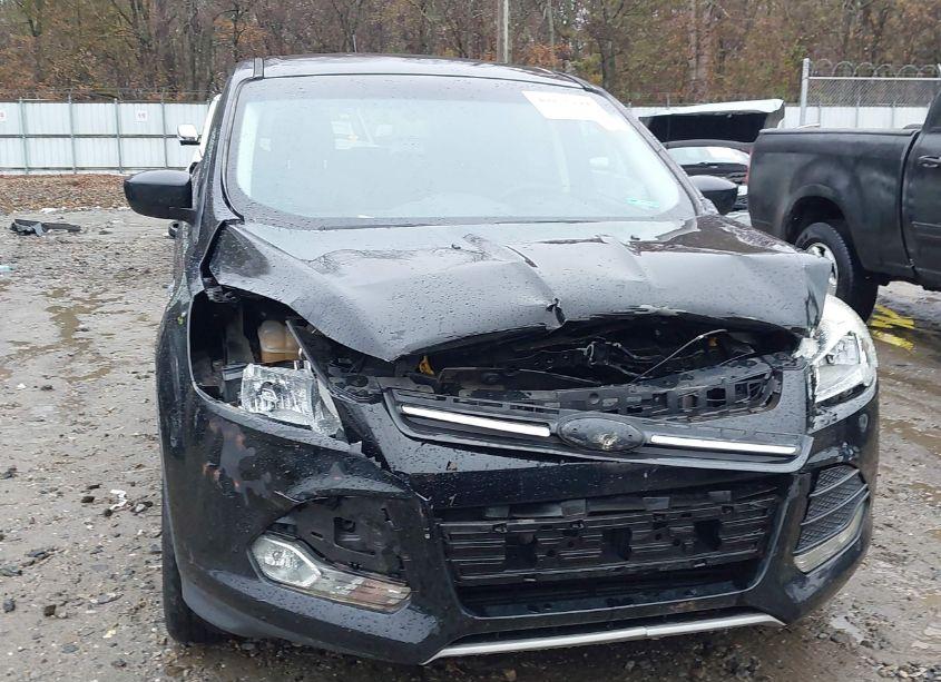 Photo 6 of 2014 Ford Escape SE (VIN 1FMCU0GX2EUD91927)