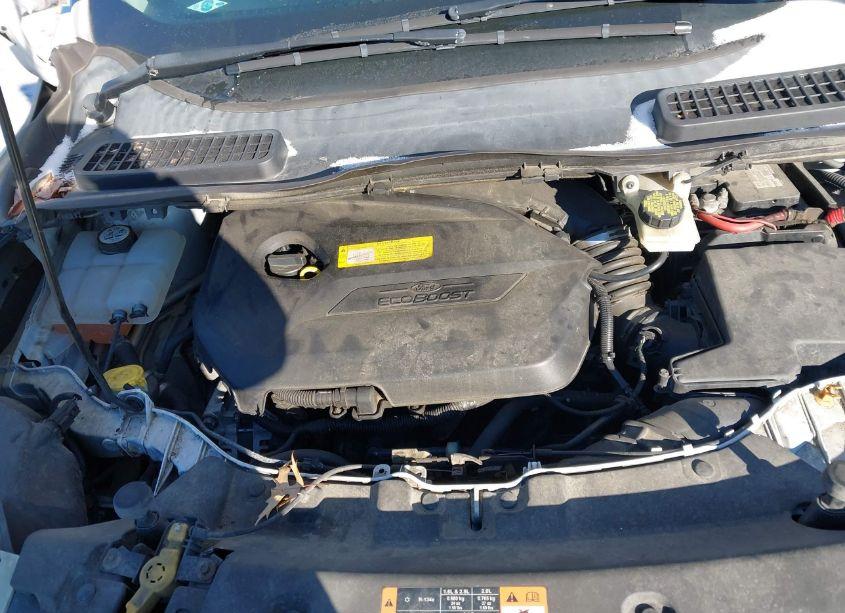 Photo 10 of 2015 Ford Escape SE (VIN 1FMCU0GX2FUB13742)