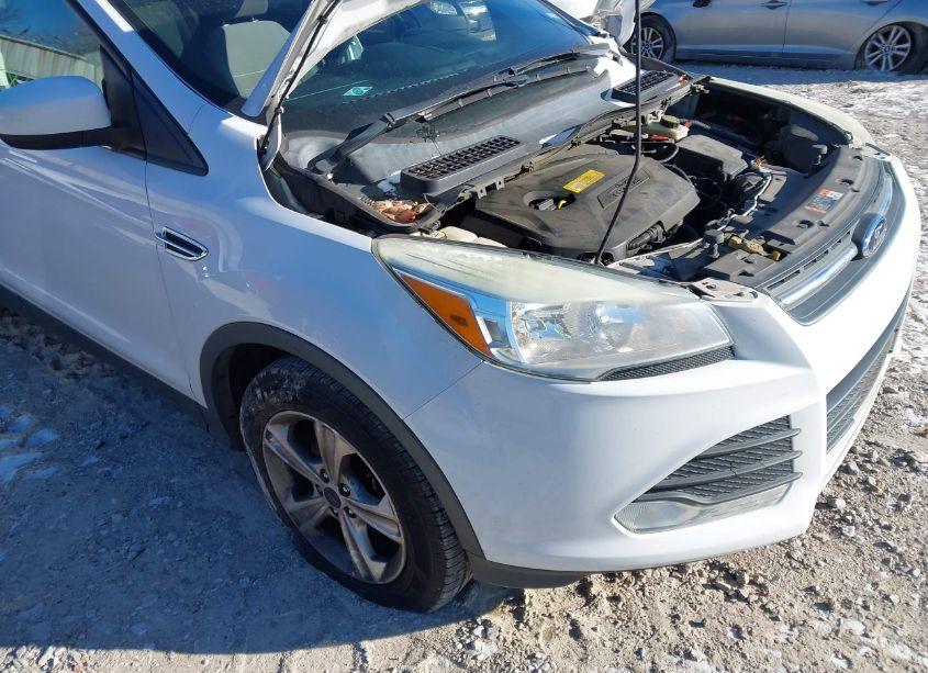 Photo 6 of 2015 Ford Escape SE (VIN 1FMCU0GX2FUB13742)