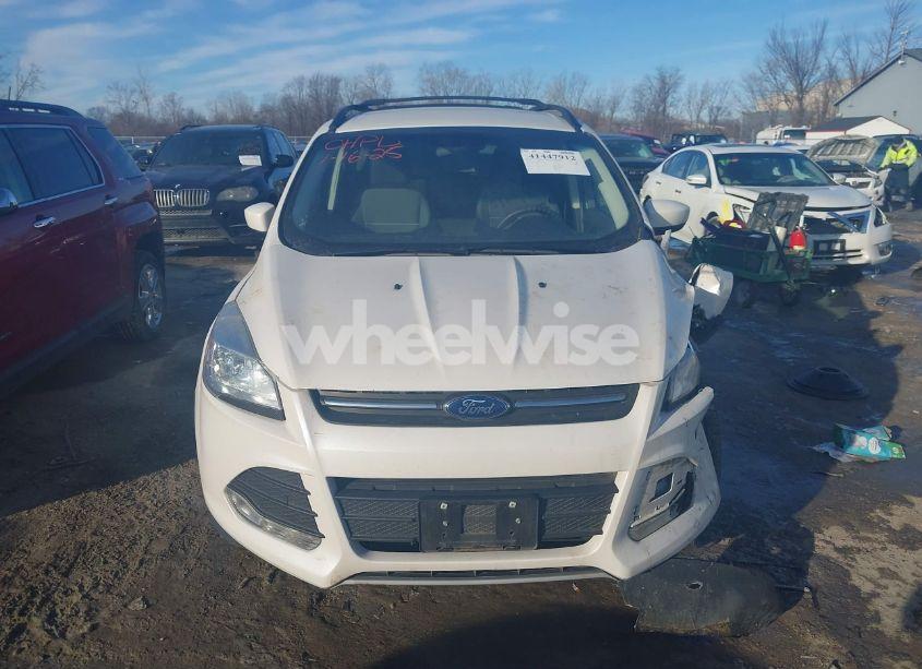 Photo 12 of 2015 Ford Escape SE (VIN 1FMCU0GX2FUC71269)