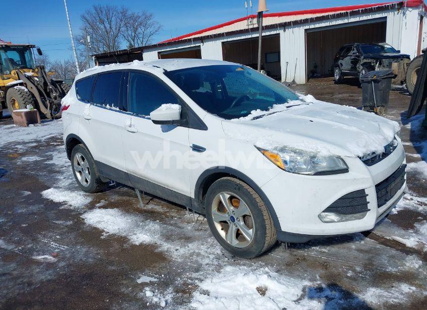 2015 Ford Escape SE (VIN 1FMCU0GX2FUC77542) main photo