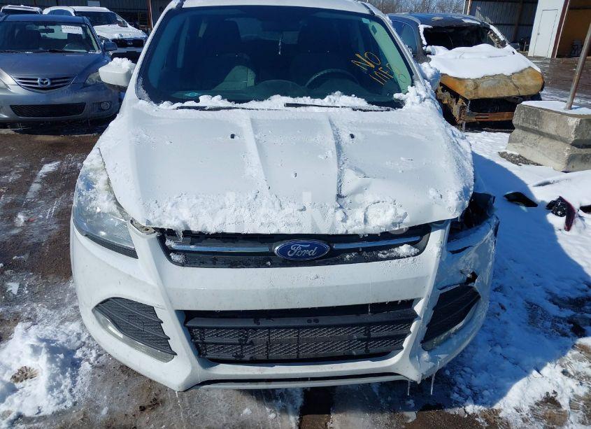 Photo 6 of 2015 Ford Escape SE (VIN 1FMCU0GX2FUC77542)