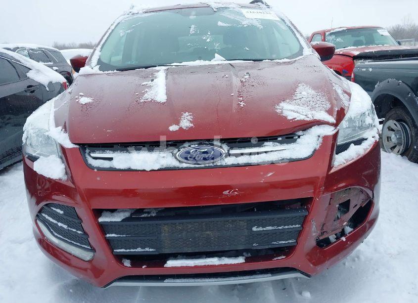 Photo 12 of 2016 Ford Escape SE (VIN 1FMCU0GX2GUB80892)