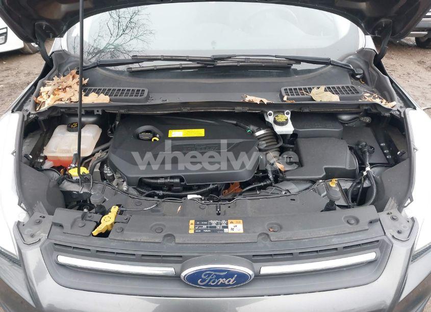 Photo 10 of 2016 Ford Escape SE (VIN 1FMCU0GX2GUC11512)