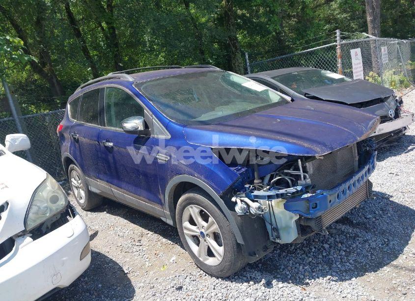 2013 Ford Escape SE (VIN 1FMCU0GX3DUB71422) main photo