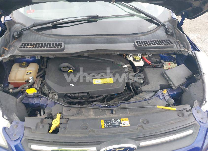 Photo 10 of 2013 Ford Escape SE (VIN 1FMCU0GX3DUC10591)