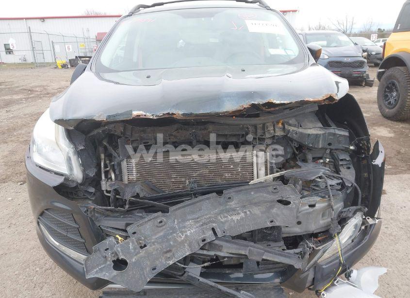 Photo 6 of 2013 Ford Escape SE (VIN 1FMCU0GX3DUC40450)