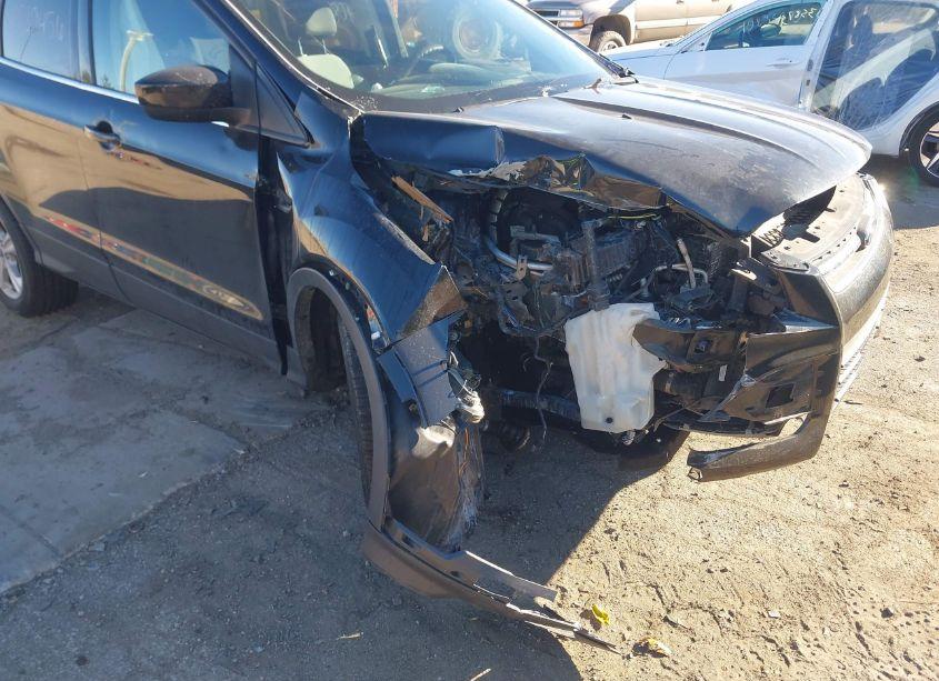 Photo 6 of 2013 Ford Escape SE (VIN 1FMCU0GX3DUD06527)