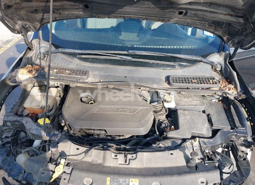 Photo 10 of 2014 Ford Escape SE (VIN 1FMCU0GX3EUA21621)